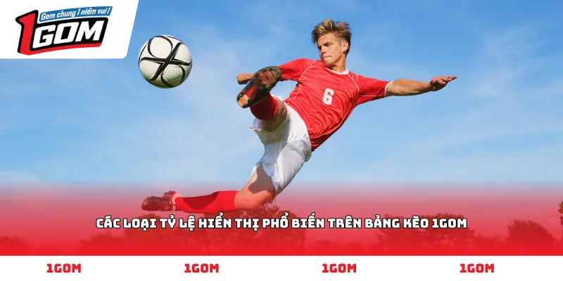 Các loại tỷ lệ hiển thị phổ biến trên bảng kèo 1GOM