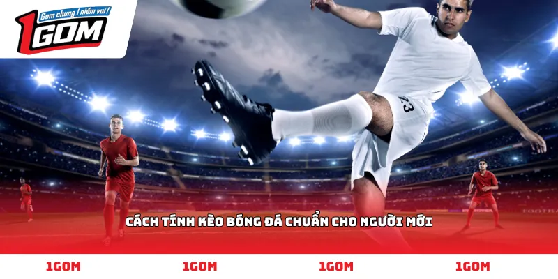 Cách tính kèo bóng đá chuẩn cho người mới