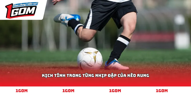 kịch tính trong từng nhịp đập của kèo rung