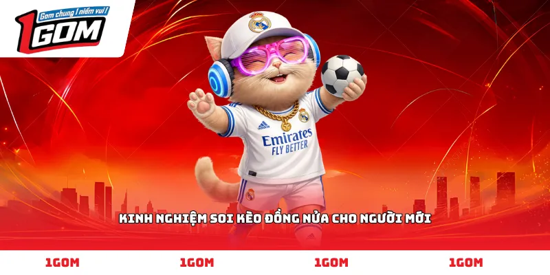 Kinh nghiệm soi **kèo đồng nửa** cho người mới