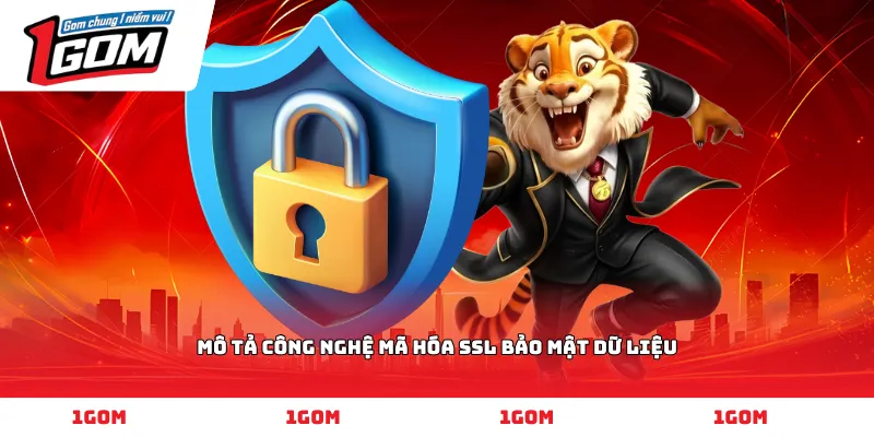 Mô tả công nghệ mã hóa SSL bảo mật dữ liệu