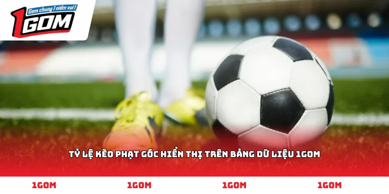 Tỷ lệ kèo phạt góc hiển thị trên bảng dữ liệu 1GOM